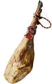 pt_photo06.jpg