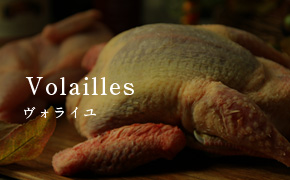 direct_volailles.jpg