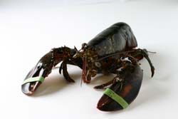IMG_4990.jpg