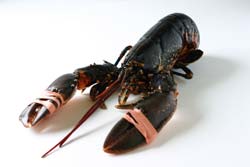 IMG_4975.jpg