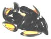 mussels2.jpg
