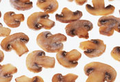 vtp1_photo05.jpg