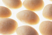 vkc_photo02.jpg