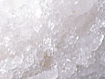 se_photo01a.jpg