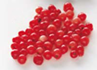 sc_photo_f_4.jpg