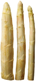 fra1_photo04.jpg